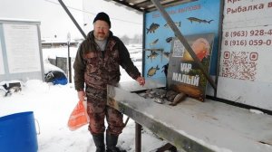 Отчет рыбака за 26 декабря 2025 №1