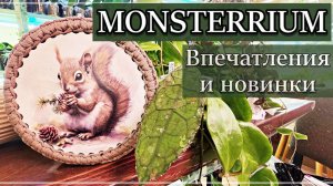 Что привезла Белка с Осеннего МОНСТЕРИУМА 2025? Покупки, Подарки и Впечатления