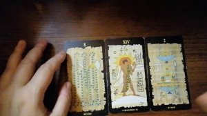 Дракон Обезьяна Крыса 2026