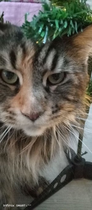 Строим дом и ночуем в нём