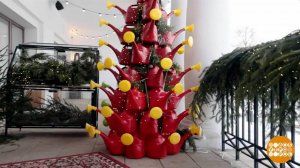 Из чего только сделаны... елочки? Доброе утро. Фрагмент выпуска от 26.12.2025