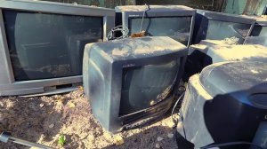 Нашел коллекцию очень много телевизоров на свалке