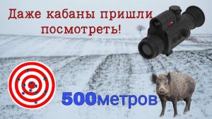 Стреляю на 500м. С тепловизионным прицелом RedRay