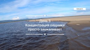 Концентрация Хищника просто зашкаливает! Кальвица Саха Якутия 2025 Наглядное пособие День 3