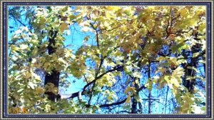 Душа молчит.. автор стихов Лариса Чугунова (1)