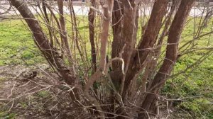 Один из дней города Евпатории | 31 марта 2021 год  Крым  ХАН БАТОН XAH 6ATOH | VID_20210331_143020