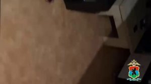 Перекупая сим-карты мошенник "заработал" 338 тысяч рублей