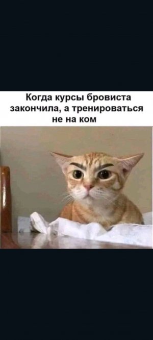 делаем трансляцию за 5 дней до нового года