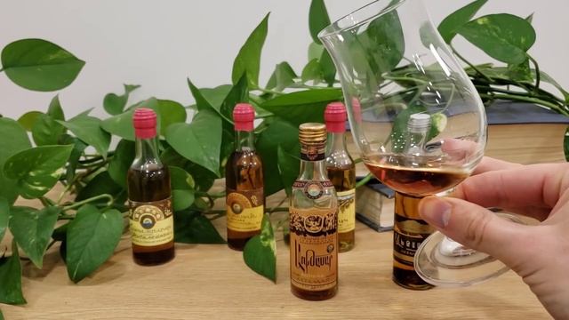 Коньяк "Ахтамар" Ереванский КЗ ~1980 и 1967 год | Ahtamar cognac 1967 смотреть онлайн