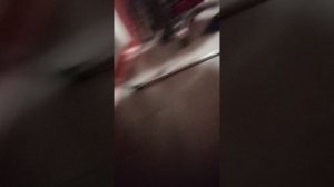 рубрика прятки самая странная игра 
Котофей в реальном мире!