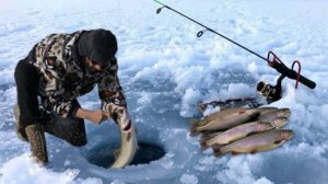 Ловлю много рыбы на замёрзшем озере в -18 градусов.