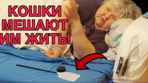 ЛУПИТ КОШЕК МУХОБОЙКОЙ. ЮЛЯ СТАР. ОБЗОР.