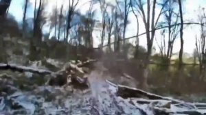 Охота на кабана