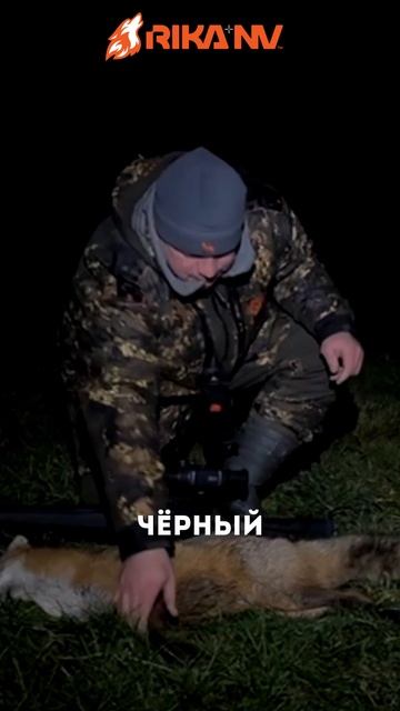 Охота на лис с RikaNV Lesnik2 360L смотреть онлайн