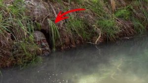 Рыбак должен быть незаметен для рыбы.