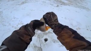 Нашли советскую бурилку. Вода не замерзает даже зимой. И давай там таскать.