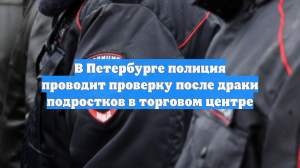 В Петербурге полиция проводит проверку после драки подростков в торговом центре
