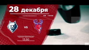 Матч КХЛ "Нефтехимик" - "Торпедо": следите за игрой на телеканале "Нижний Новгород 24" и на "Маяке"