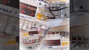 1000043543.mp4 (Собака слушает о протяжке болтовых соединений в водном электрощите в гараже у дома)