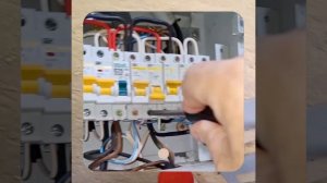 1000043555.mp4 (Собака слушает о протяжке болтовых соединений в водном электрощите в гараже у дома)