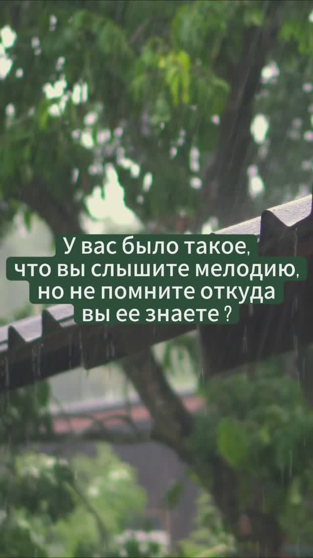 Let Go (Ambient Cover by Sirius X) смотреть онлайн