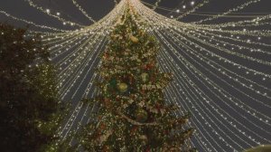 Москва, Новый год. Зима в Москве ГУМ ярмарка.