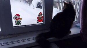 Люсе дома не сидится и на улице холодно //Пельмени.