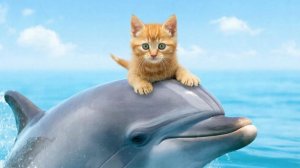 Мультики для детей, мультфильмы детям