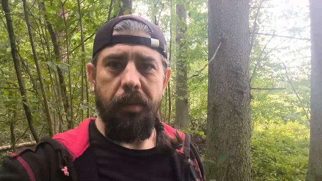 Собрал 9 видов съедобных грибов за 2 часа! смотреть онлайн