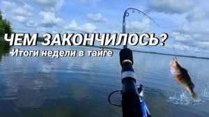 Как ЛОВИТСЯ ОКУНЬ в Карелии | Итоги НЕДЕЛИ в тайге: уха, трофеи, и разговоры по душам
