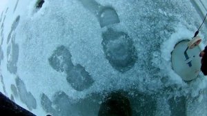 ПОКЛЕВКА ЗА ПОКЛЕВКОЙ.ЩУКА на жерлицы.СУДАК на балансир.