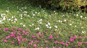 Лайфстайл на станции метро "Спортивная", мцк "Лужники"