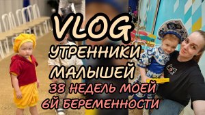 38 недель 🤰🏼6й беременности 🤰🏼 утренники у малышей 🎄