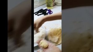 Готовим творожные пончики🍩