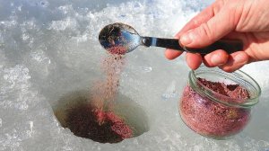 Самая уловистая прикормка для глухозимья в этом видео!Приманивает плотву леща и всю бель.