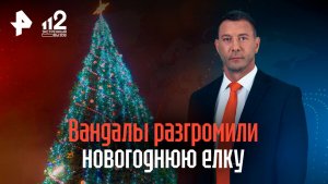 Вандалы разгромили новогоднюю елку в Приморье