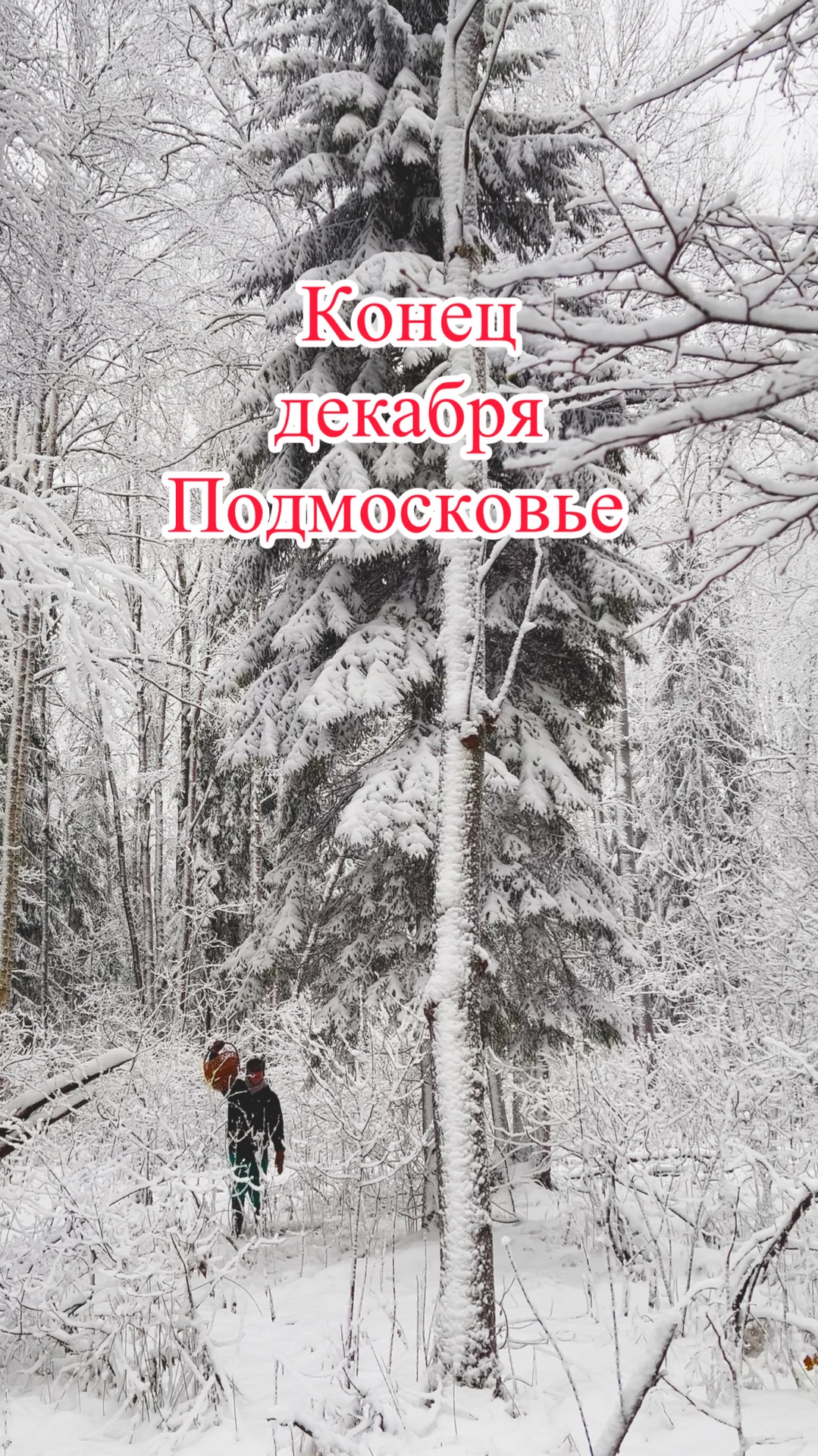 Конец декабря Подмосковье