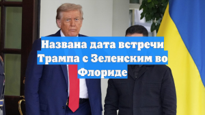 Названа дата встречи Трампа с Зеленским во Флориде