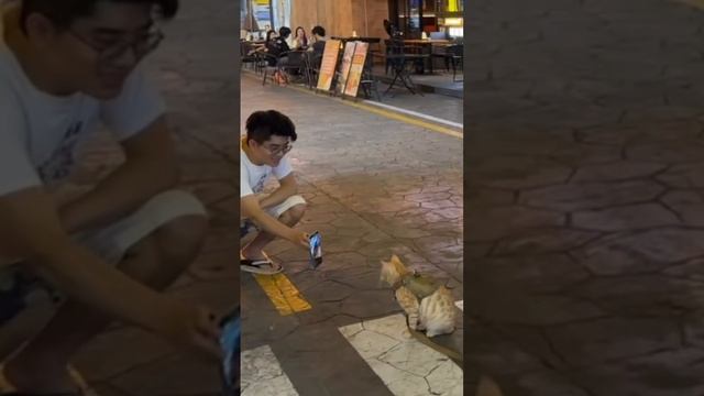 МИР ВИДЕО ДЛЯ ГЛУХИХ 26 ДЕКАБРЯ 1ЧАСТЬ 👍 смотреть онлайн