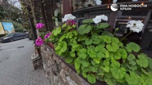 До Нового года осталось несколько дней: Ялта в ожидании праздника