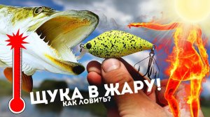 Как наловить много щуки в жару?  Как ведет себя щука летом в жару, где стоит и  на что клюет?