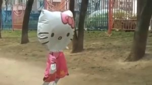 video_2025-12-19_11-06-37