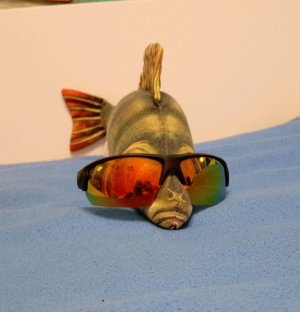 лайфхаки для школы