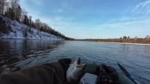Последний таймень в этом году. Ускуч. Щука. С хариусом не повезло