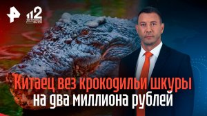 Китайский турист пытался провезти в РФ 50 крокодильих шкур почти на 2 миллиона