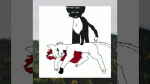 Первая анимация