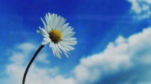 Песня Вера и любовь Красивые лучшие душевные песни о любви