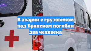 В аварии с грузовиком под Брянском погибли два человека