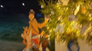 25.12.25г... Красота на Набережной реки "Сож" в Гомеле...