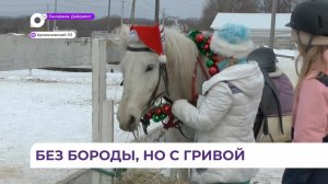 В конном клубе Арсеньева идут репетиции новогоднего представления
